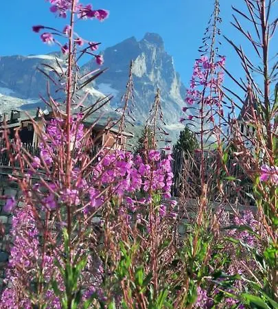 Maison Meynet Mountain Charm 아파트