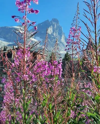 Maison Meynet Mountain Charm Appartement