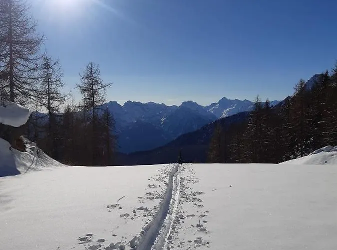 Maison Meynet Mountain Charm Appartement *